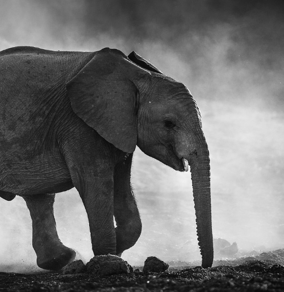 Xnip2025-11-26_14-13-07